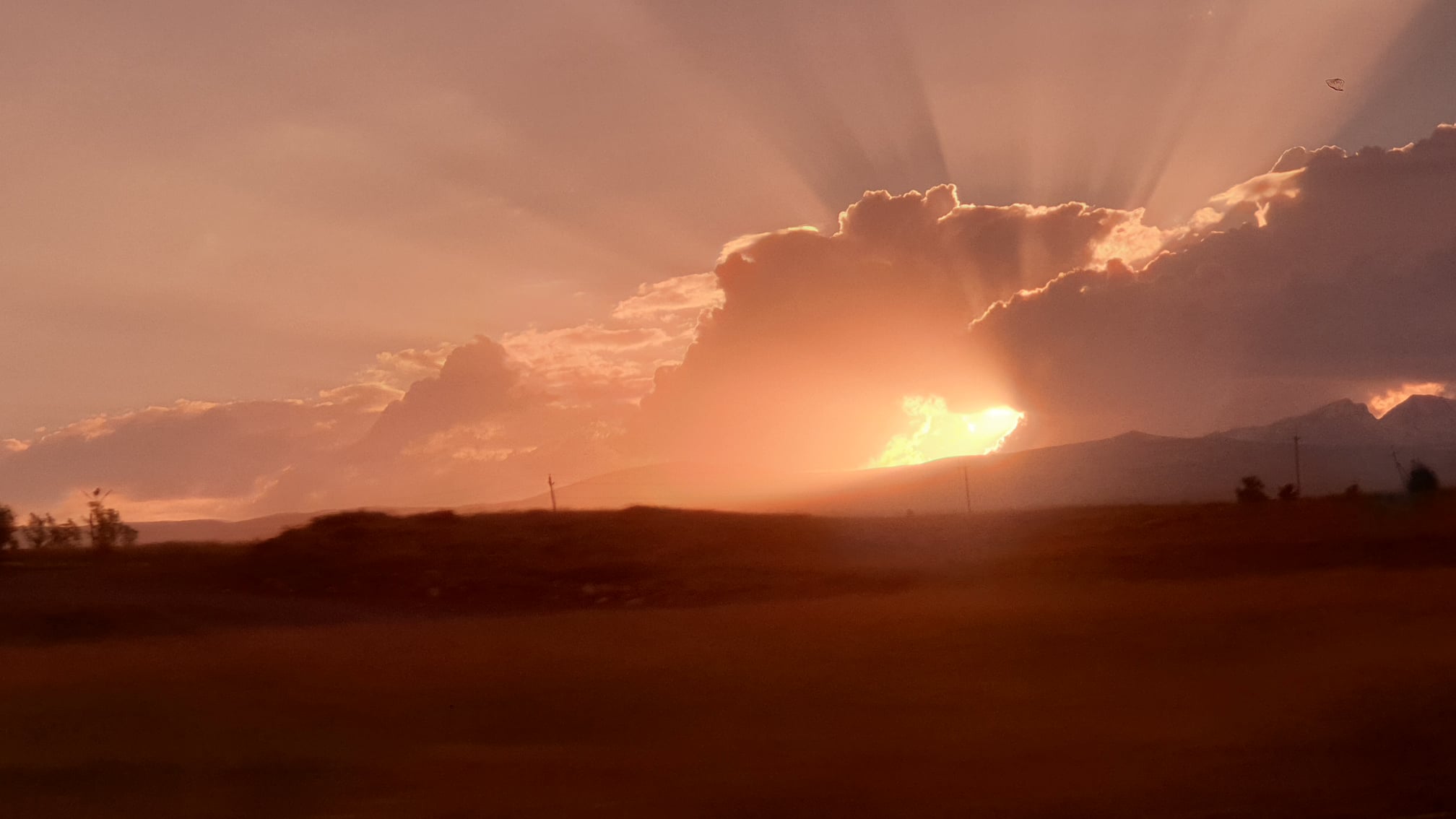 „მხიტარ სებასტაცი, ჩემს ოჯახში“.