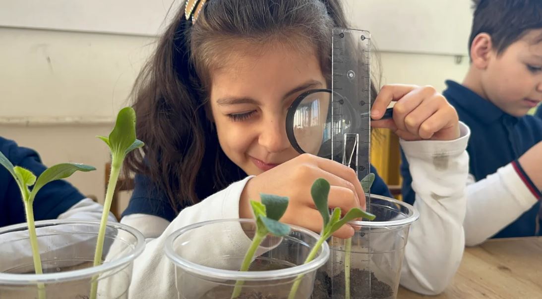 Փետրվար ամսվա բնագիտական փորձեր