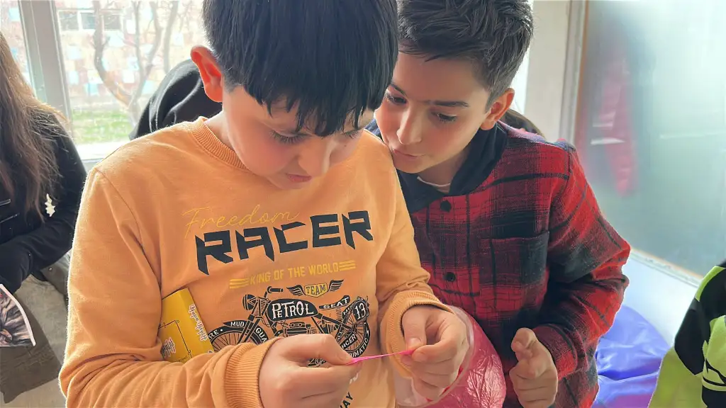 Բառարանային ֆլեշմոբ․ամփոփում