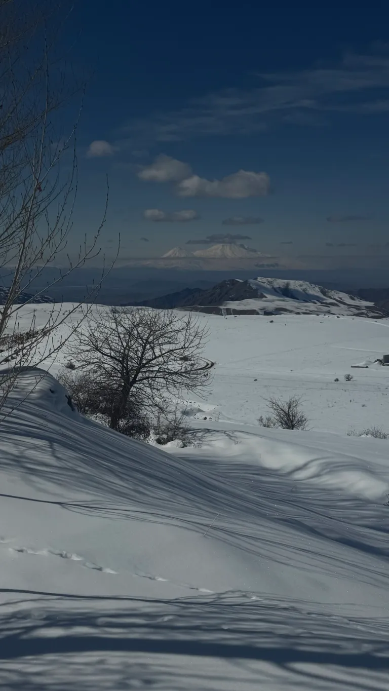 ხაჩიკის საშუალო სკოლა: საქმიანი მოგზაურობის შედეგები