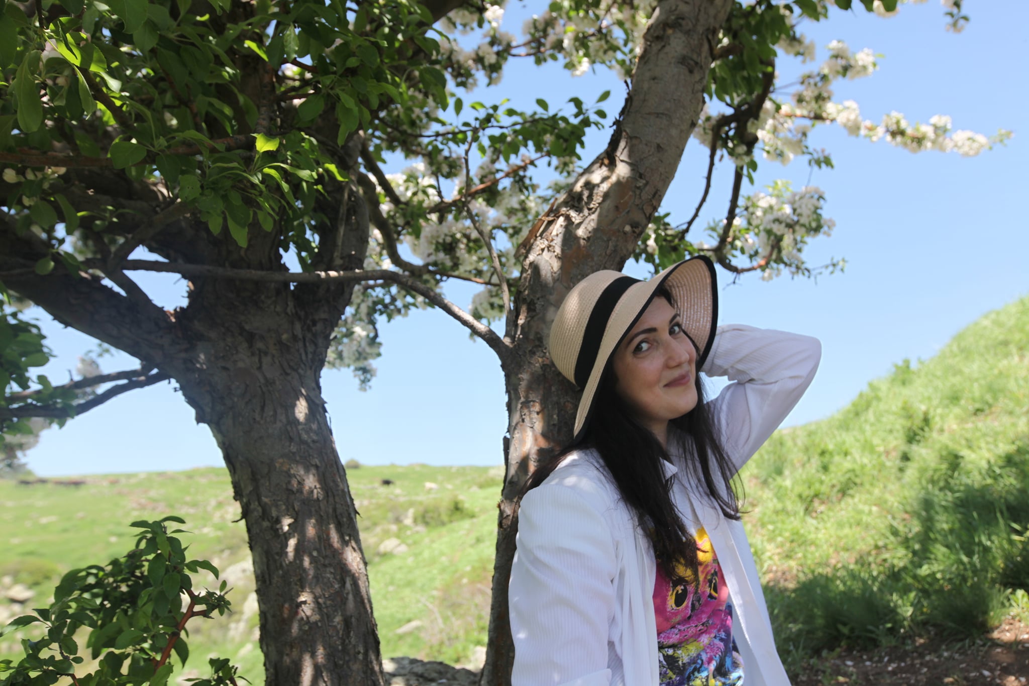 Շնորհավորանք