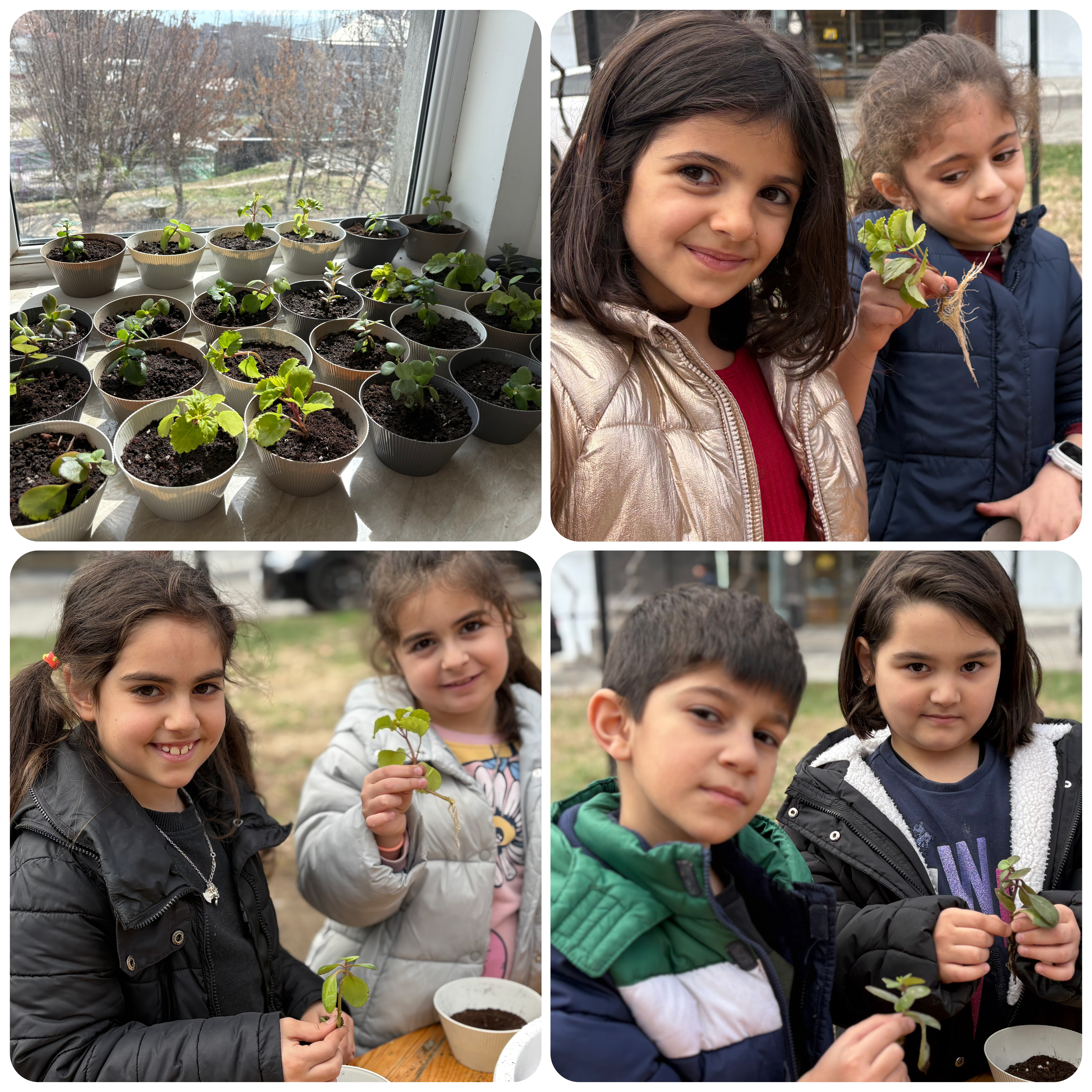 Ծաղկատունկ