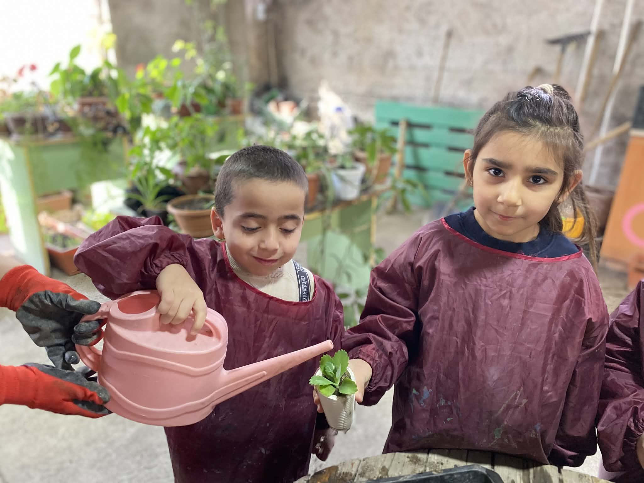 Բույսերի տնկում