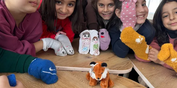 My funny talking sock