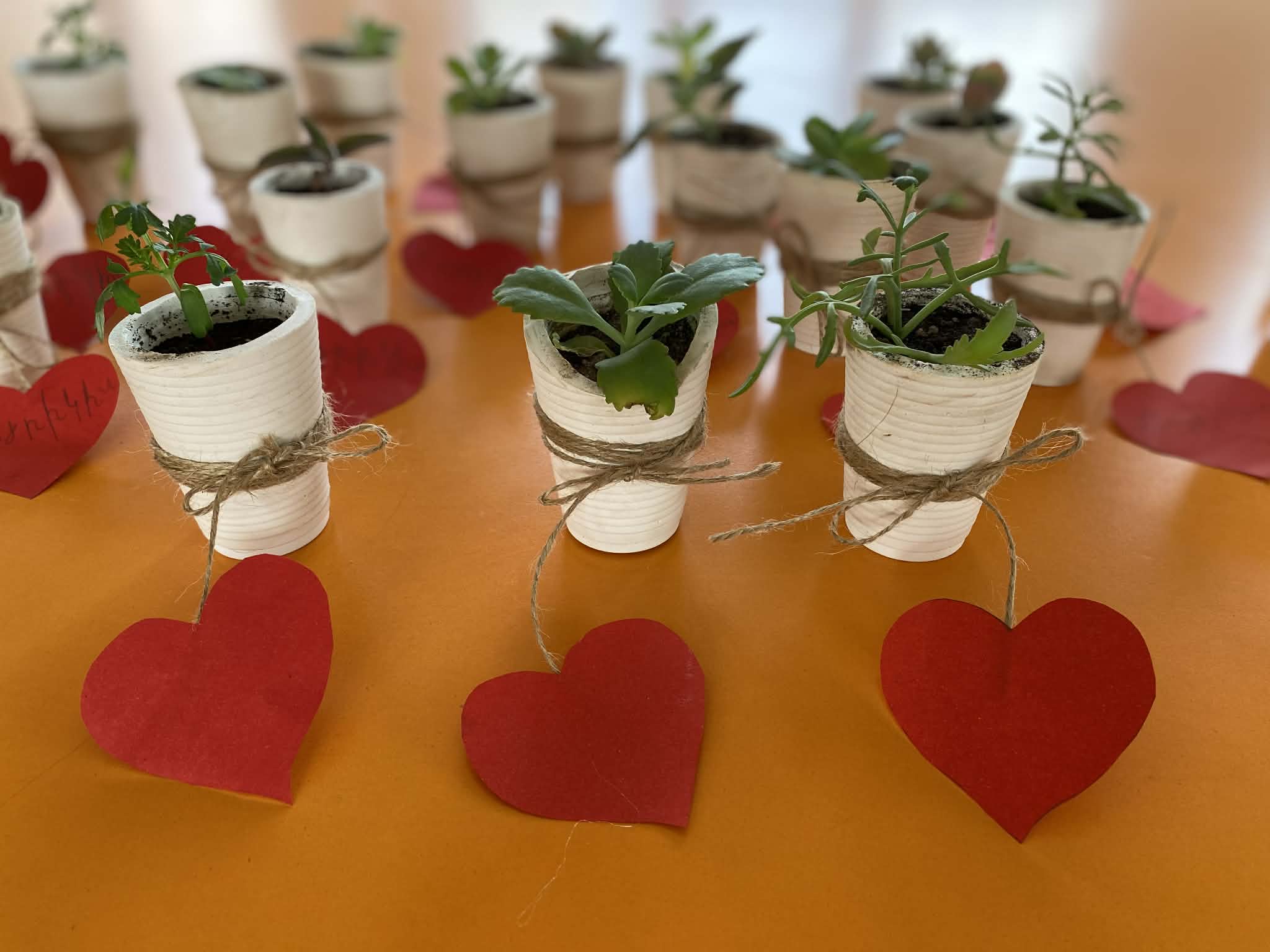 სიურპრიზი დედაჩემისთვის