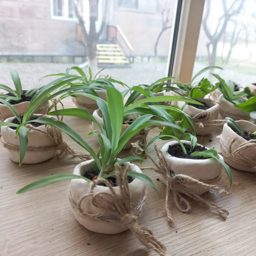 Թաղարների ձևավորում 