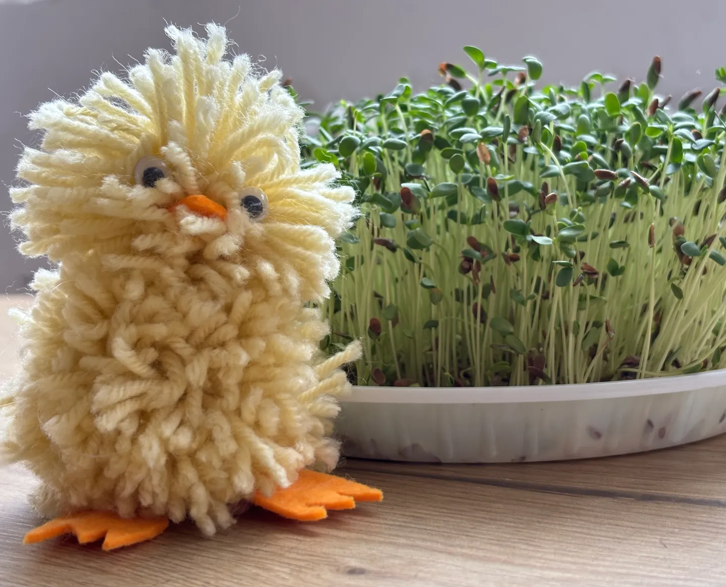 Զատկական ճուտիկներ