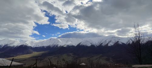 Երբ նախագծերը համակարգում են սովորողները․․․