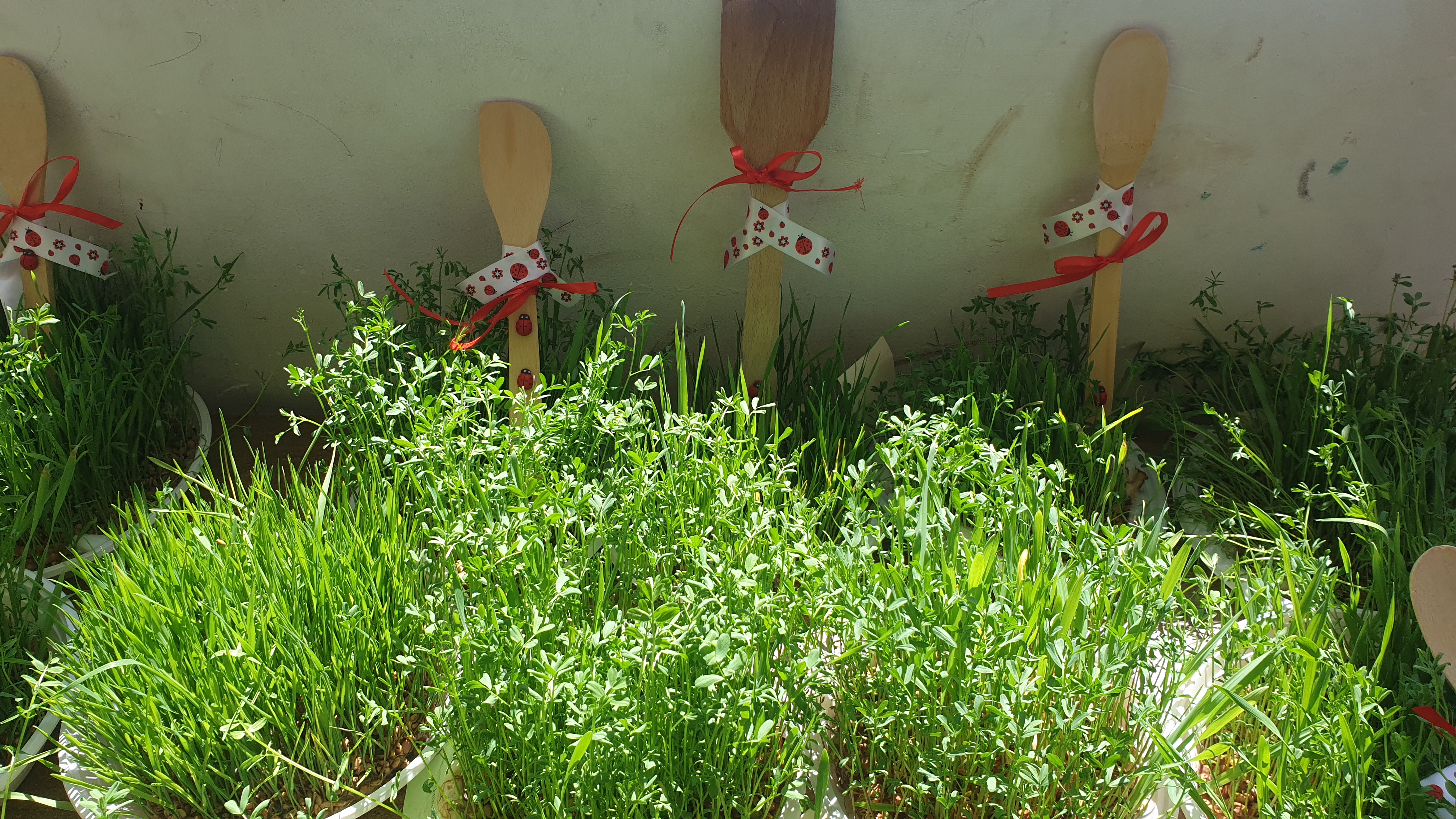 Զատկական ուրախ մաղթանքներ