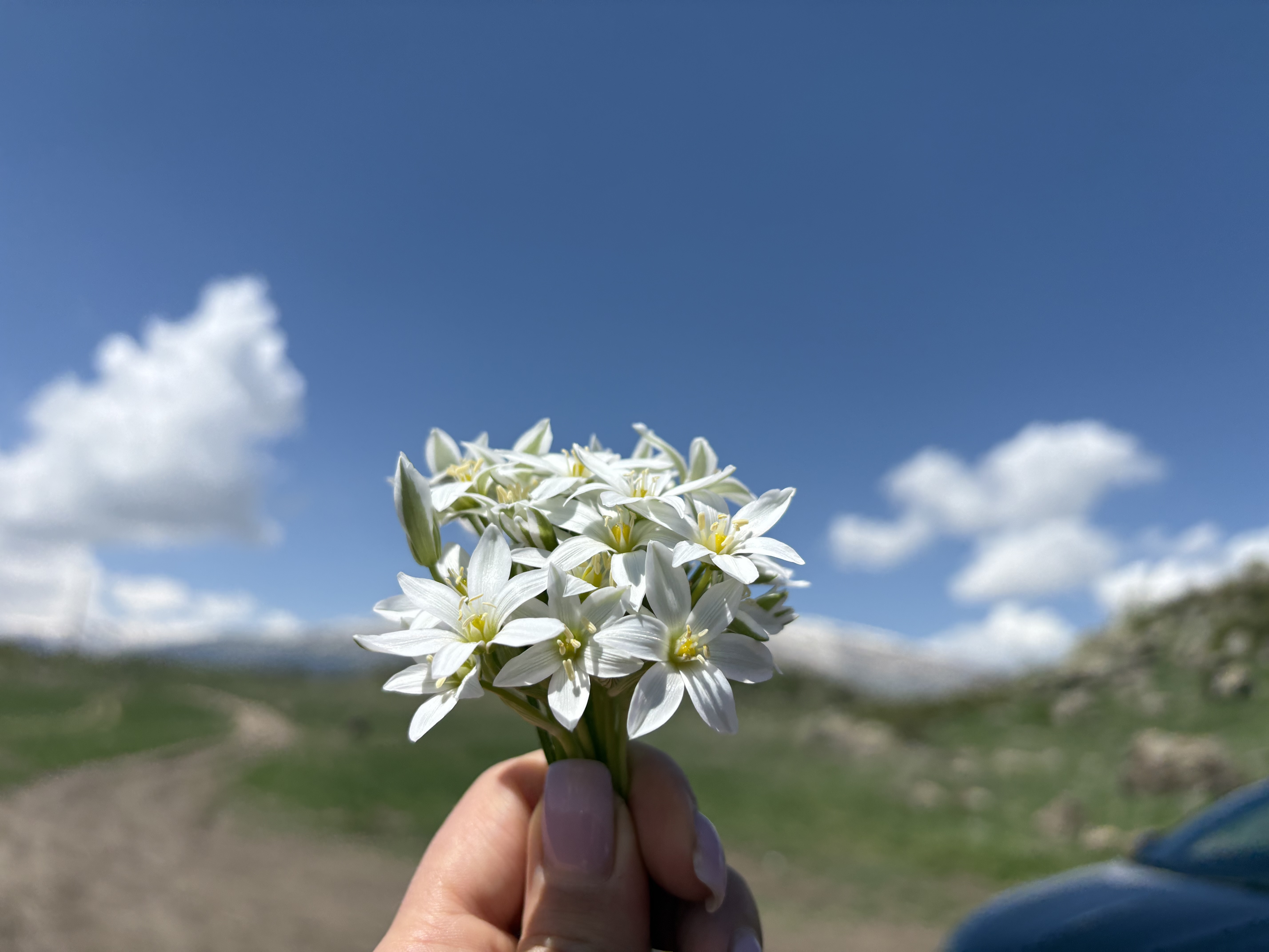 «Ուսումնական գարուն» ամփոփում