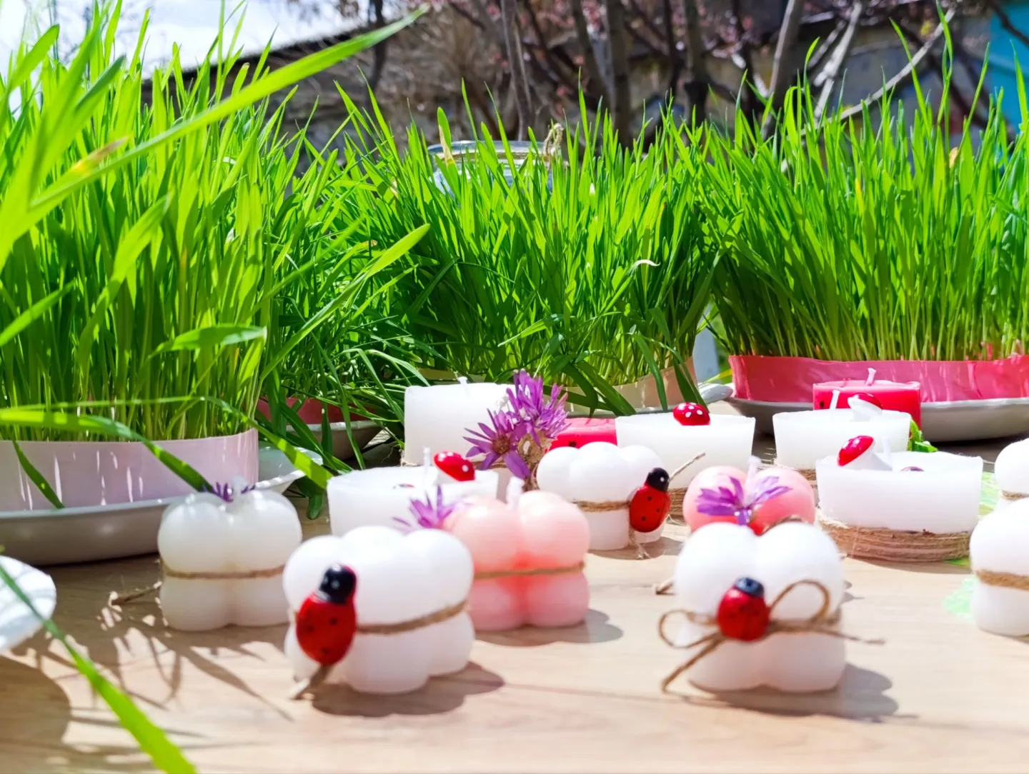 პროექტის „წმინდა აღდგომა“ შეჯამება