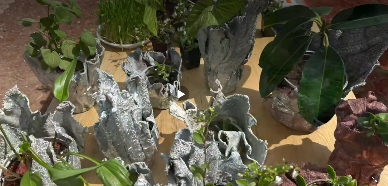 Կախարդական սրբիչների հեքիաթը