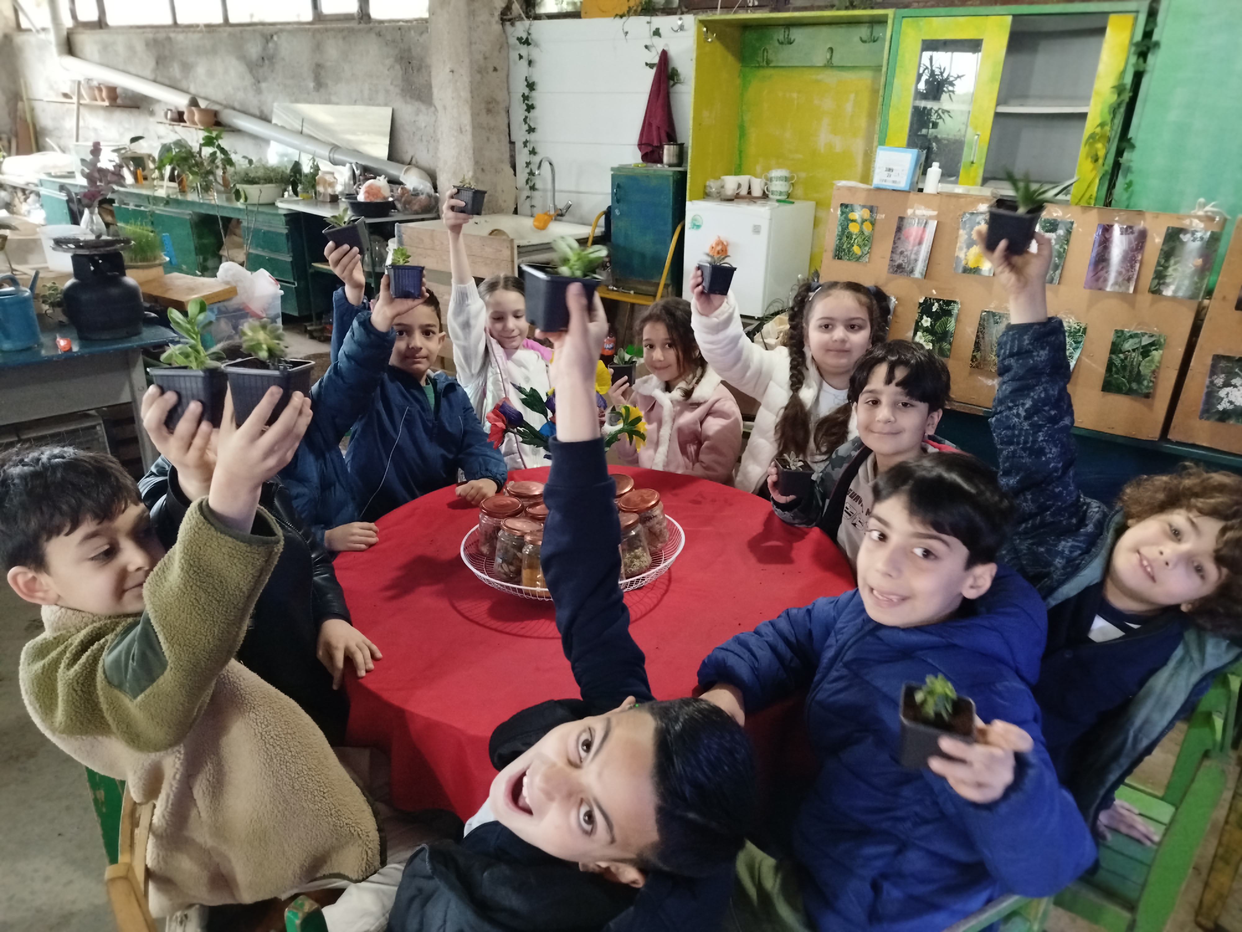 Իմ կանաչ ընկերը