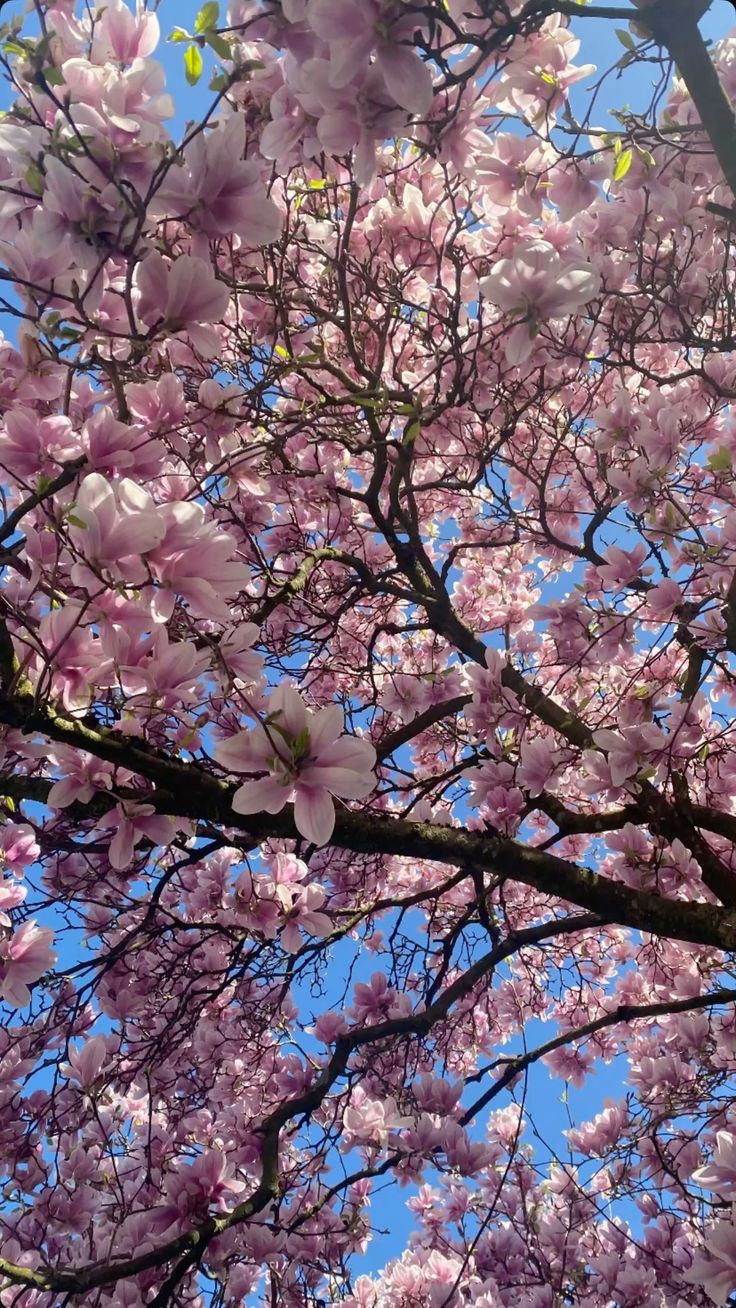 Բնագիտության ֆլեշմոբ։ Ապրիլ