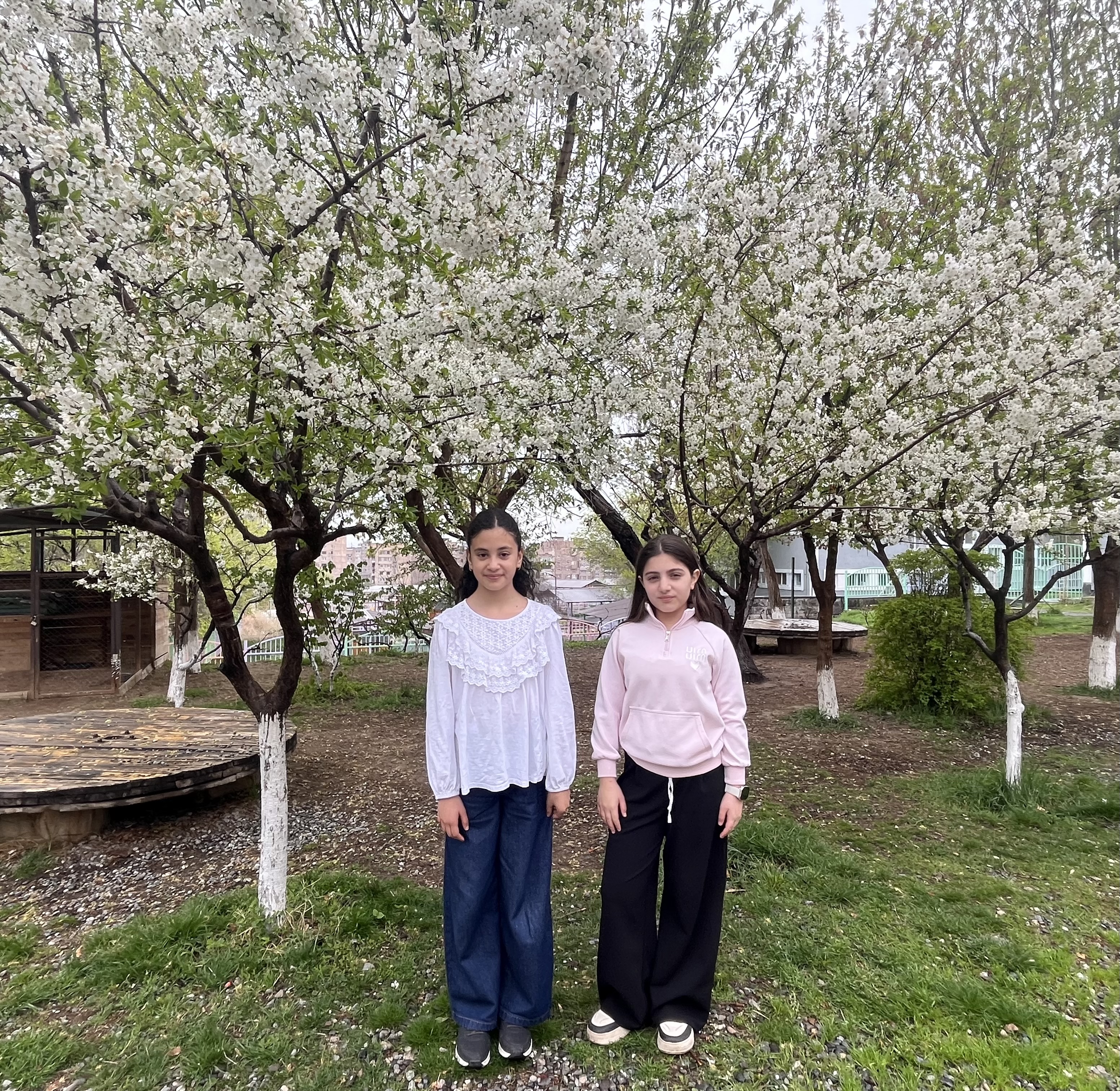 Հյուսիսափայլ TV №18