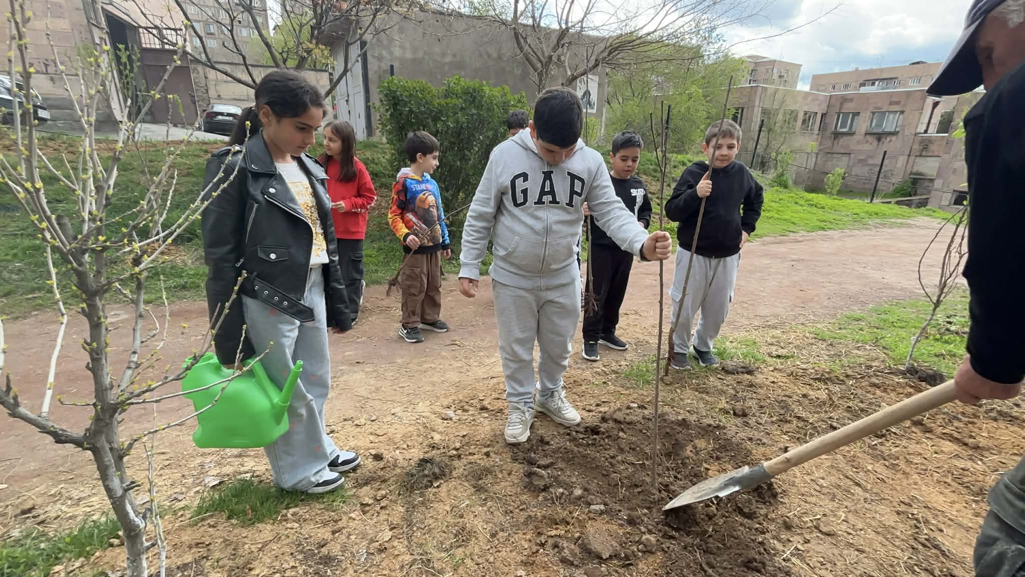 Սալորենիների տնկում