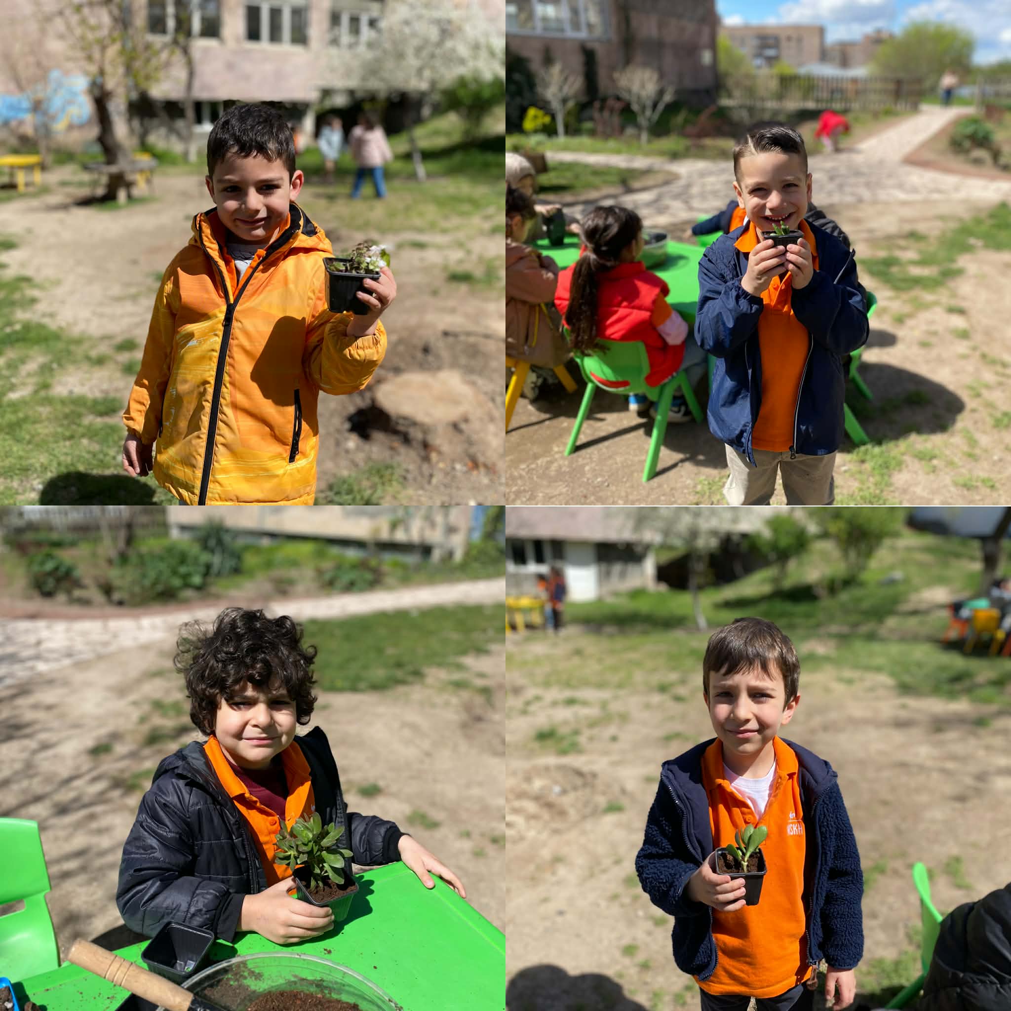 «Ձոն» հանգանակություն