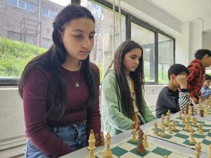 Հարավային դպրոց  ընտրական փուլ