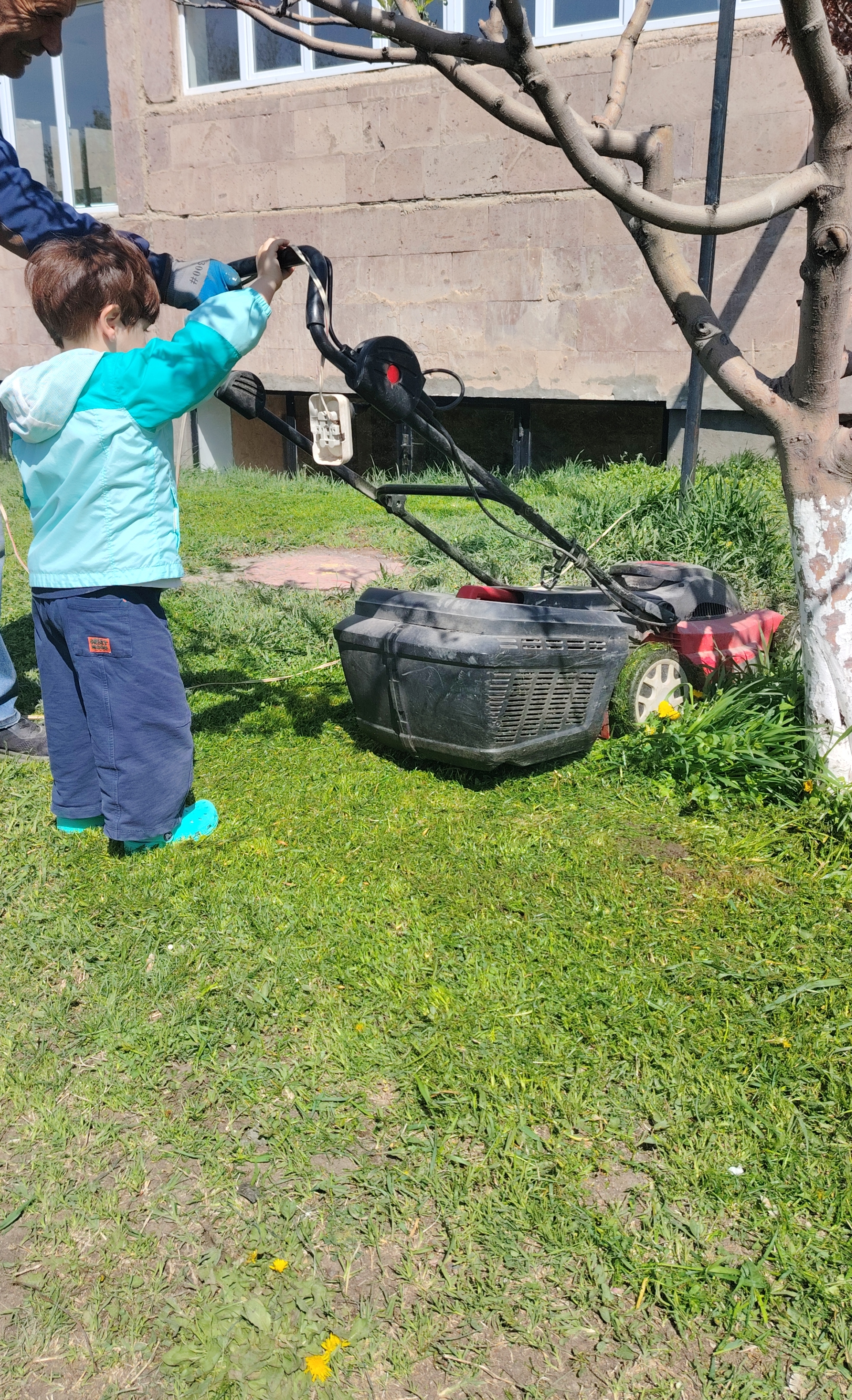 Միջավայրի խնամք