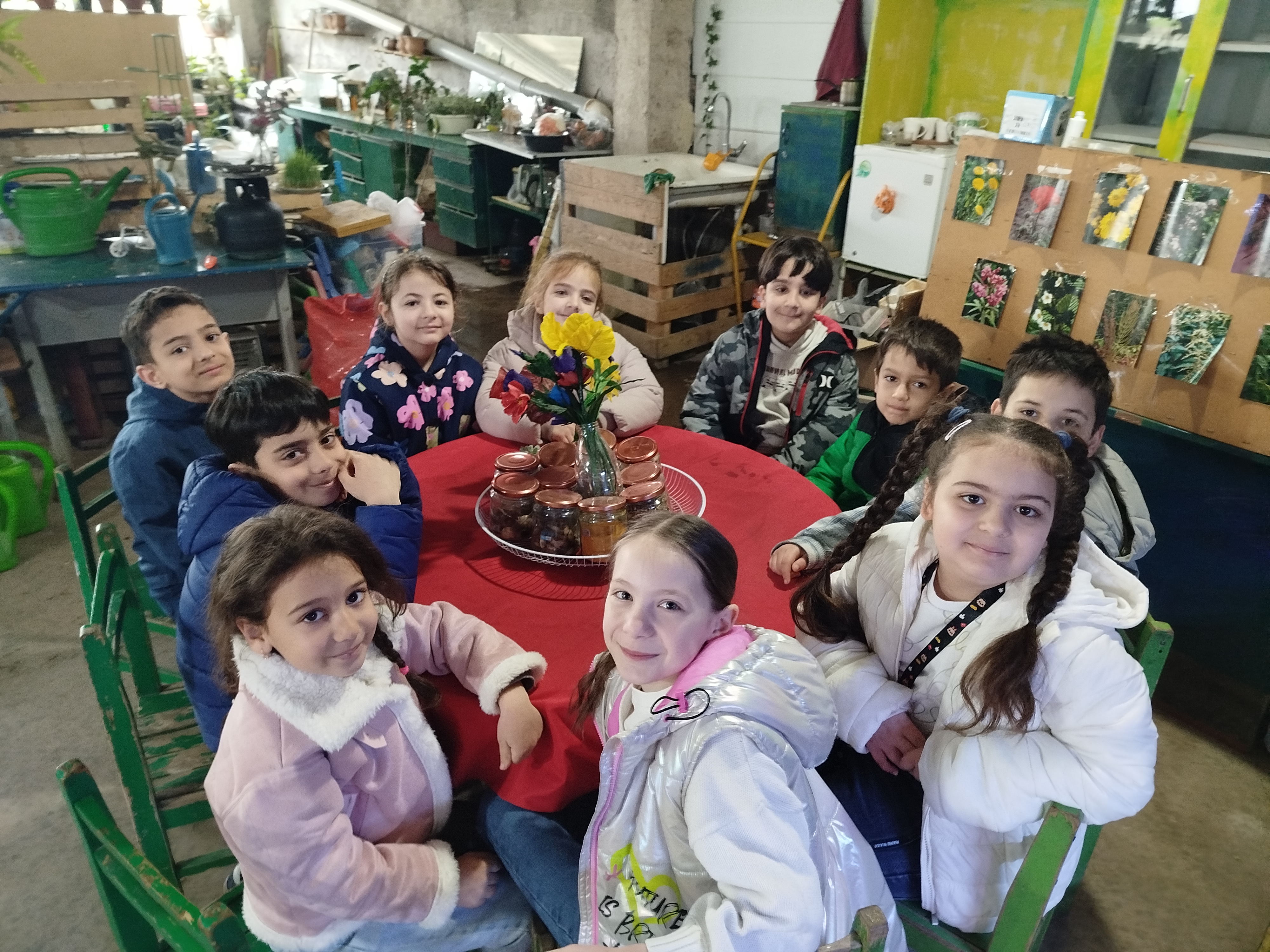 Բույսերի տեղեկատվական օրագիր