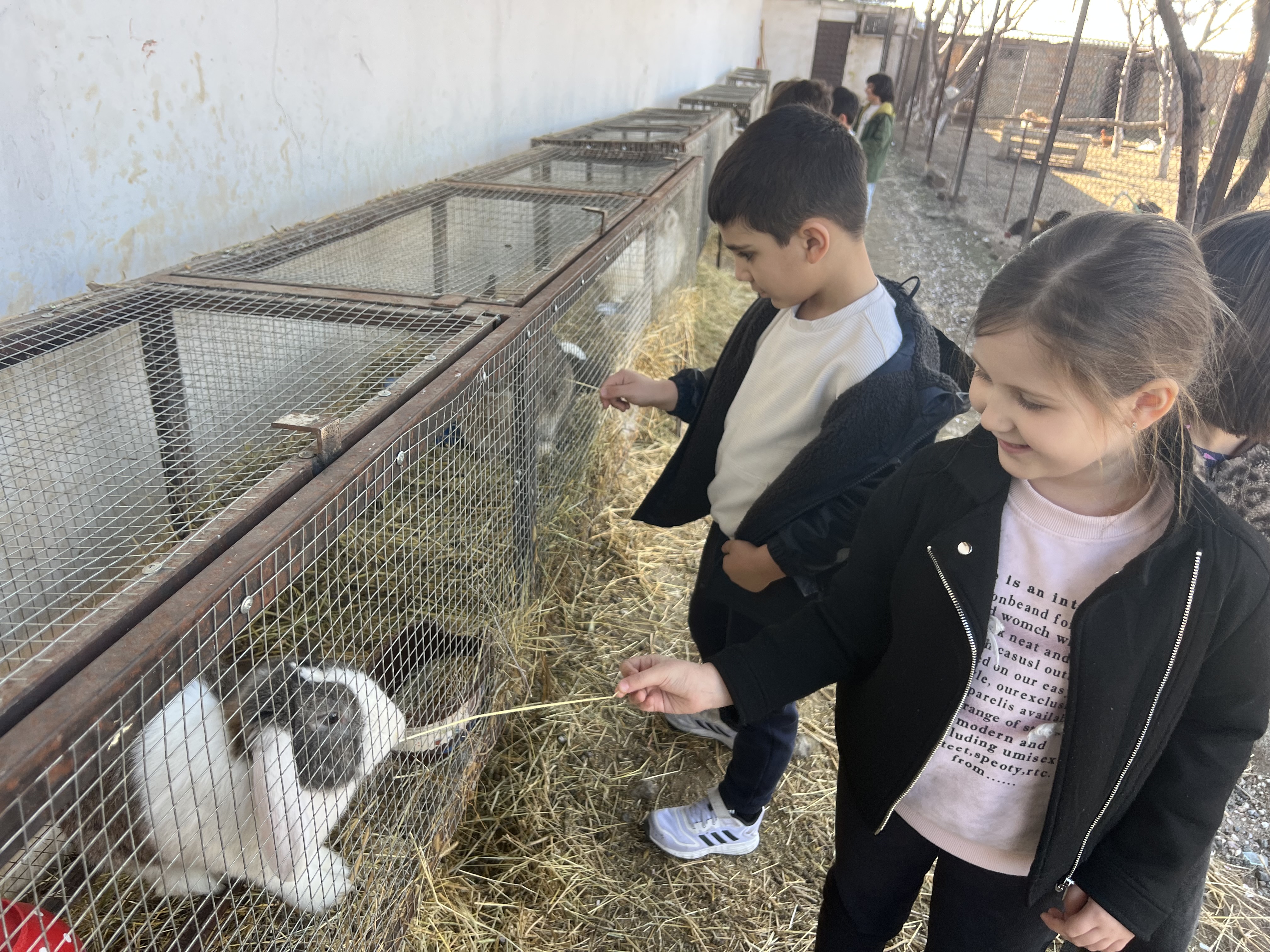 Սիրելի Ագարակում։ Հարավի լողորդները