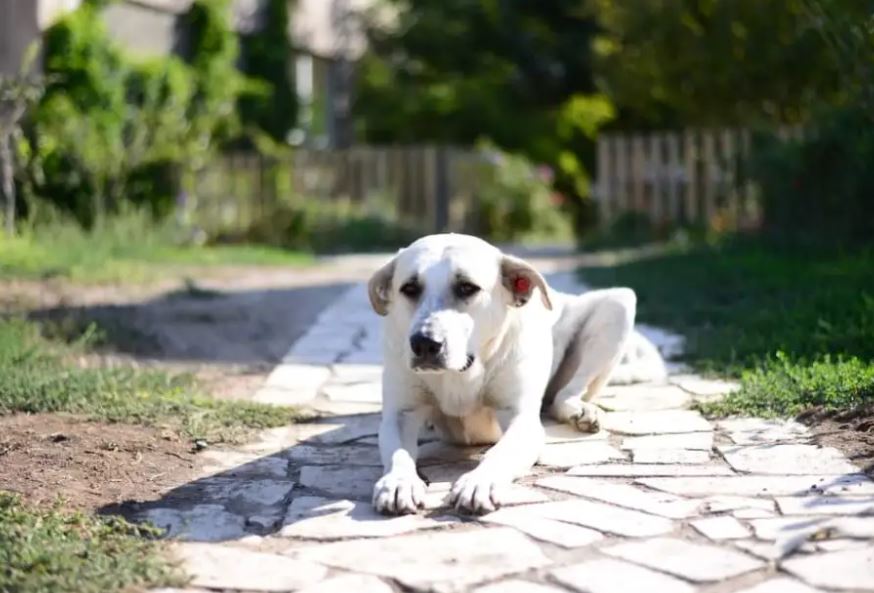 Մաթեմատիկայի ֆլեշմոբ։ Ապրիլ