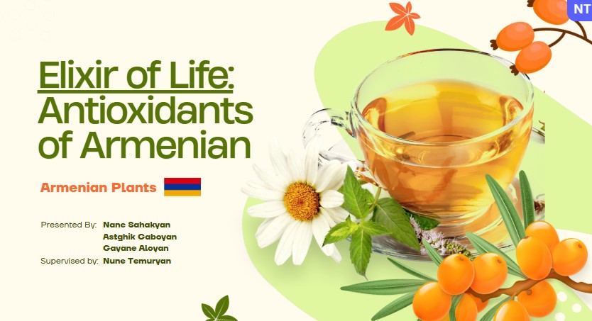 «Կյանքի էլիքսիր» հայ-վրացական համատեղ նախագիծ
