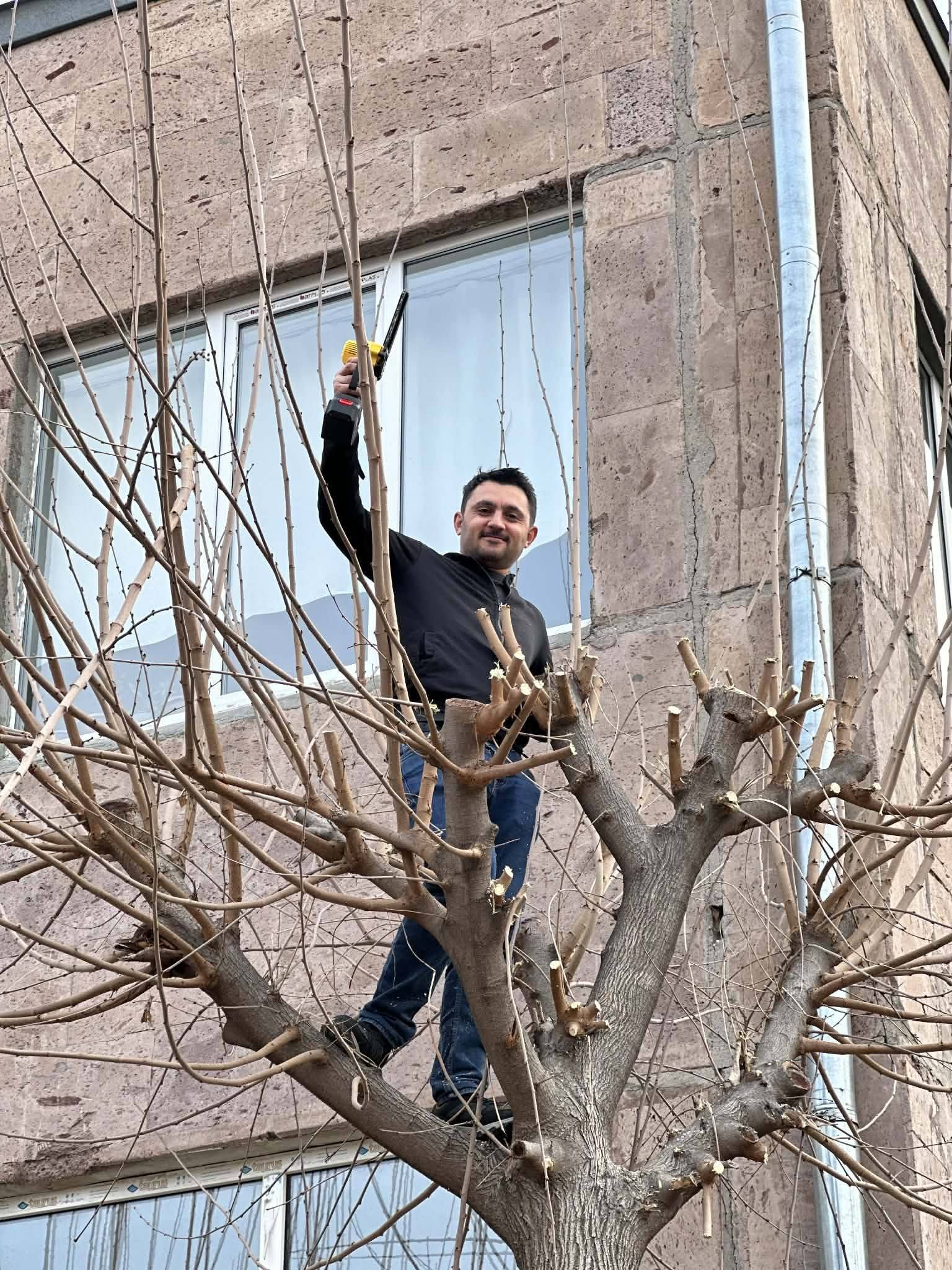Շնորհավորանք