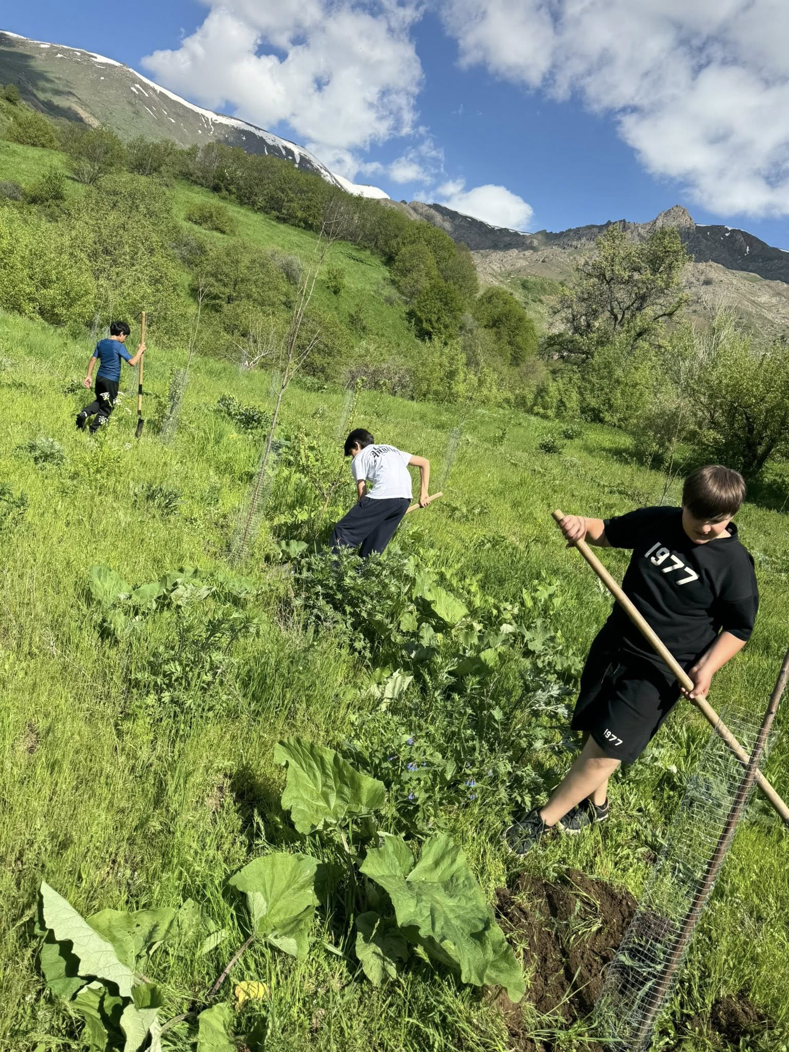 Ամառային ճամբար Միջին դպրոցում