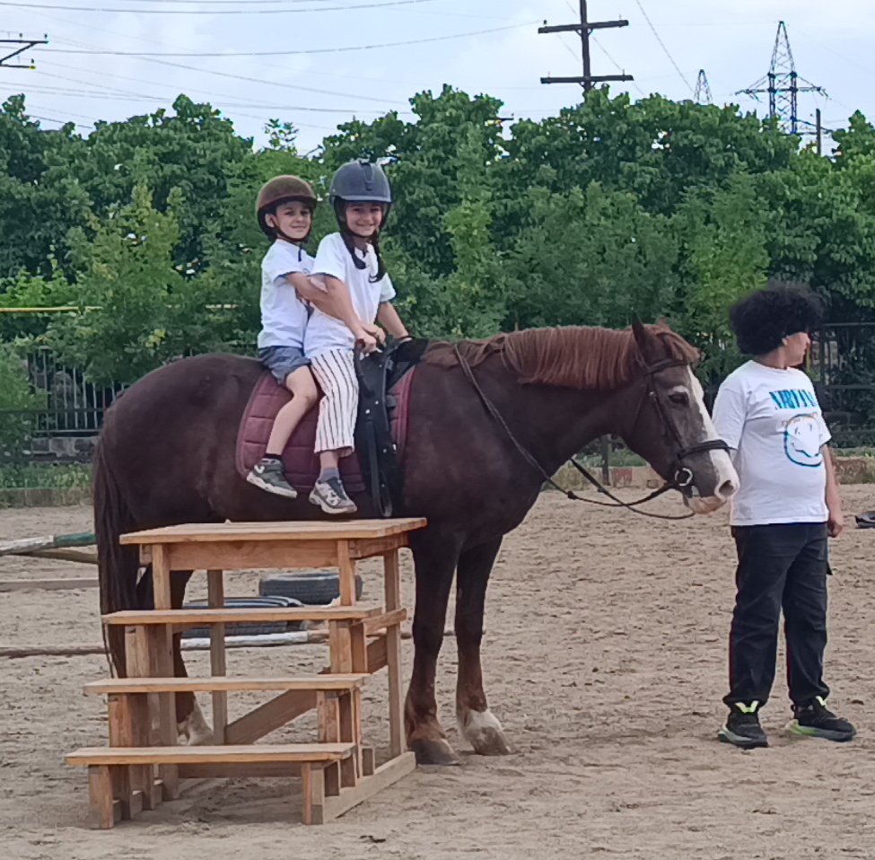 Dialoghi sull'equitazione: perché una sella ha un cavallo?