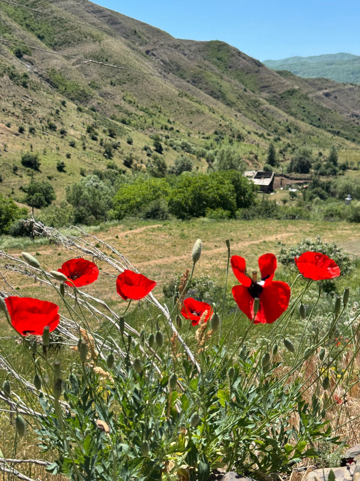 Արատեսյան եռօրյա ճամբարի ամփոփում