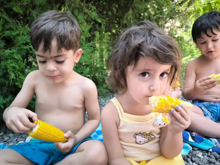 Եգիպտացորենի ծես