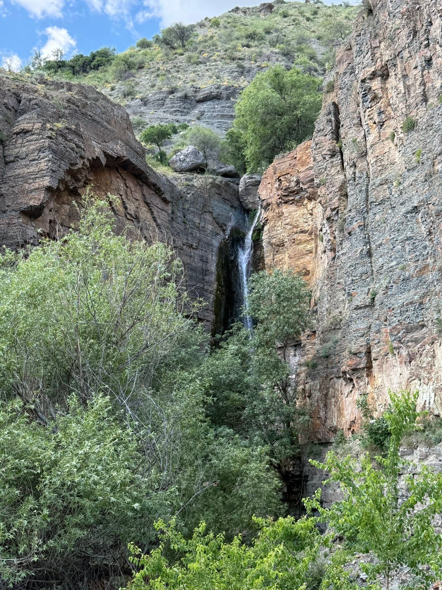 Գիտելիքի օրվա նախագծեր