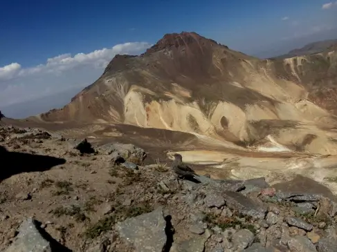 Դեպի Արագած