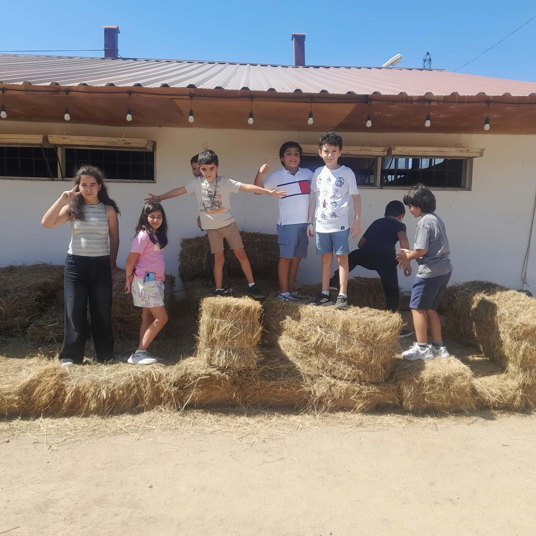 ANIMAL CARE MISSION