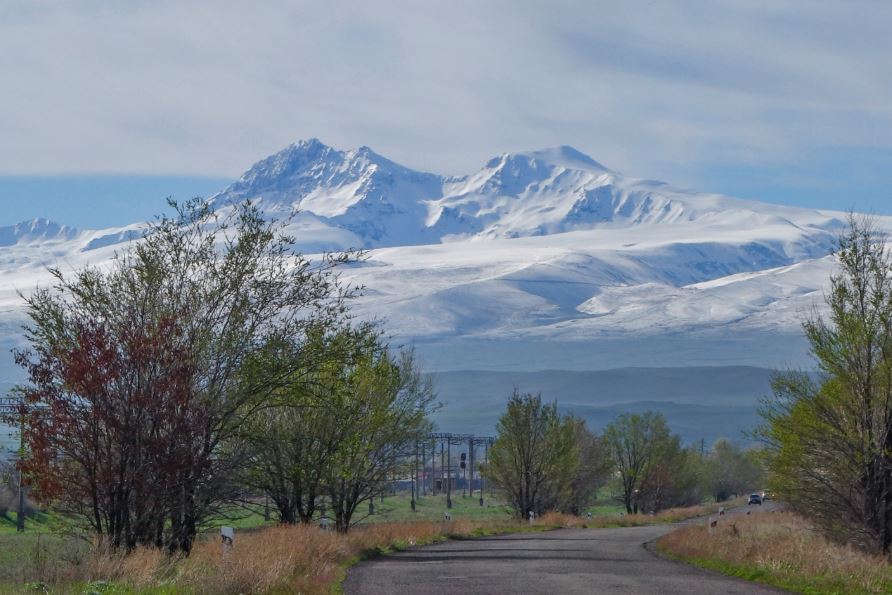Մեր նորեկները