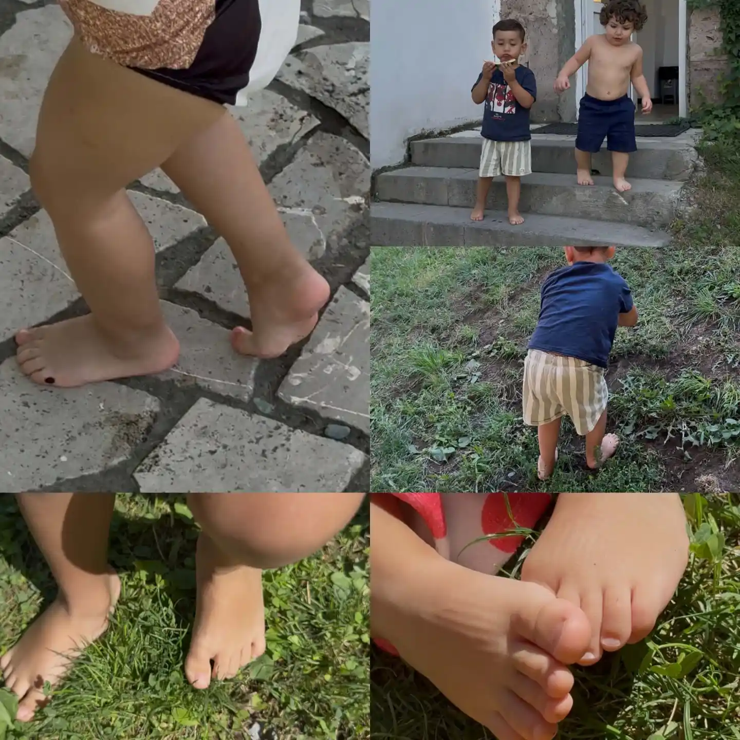 Բոկոտն ցնծություն