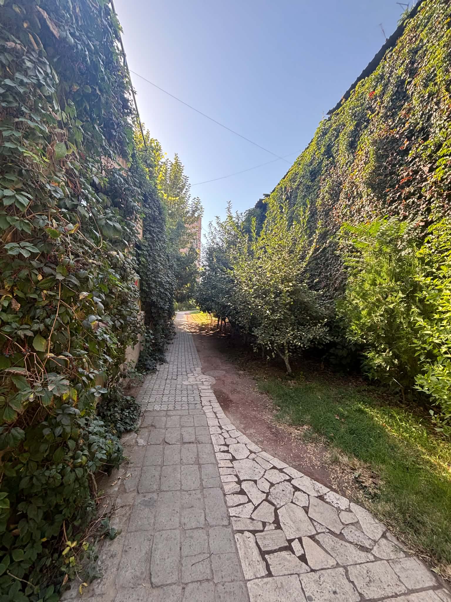 «Կրթական պարտեզի» խնամք