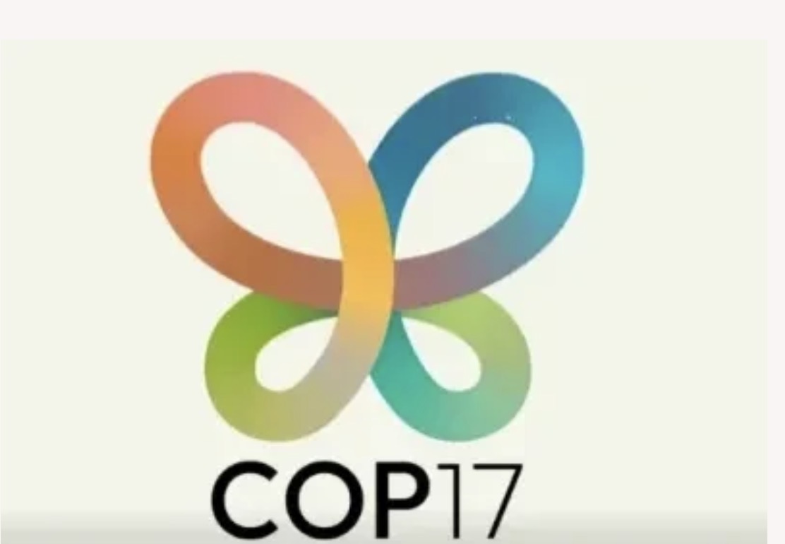 Qu’est-ce que la COP ? Les objectifs et l’importance de la conférence sur le climat