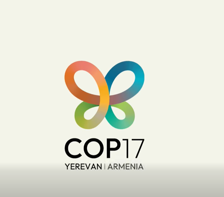 COP17-ը Միջին դպրոցում