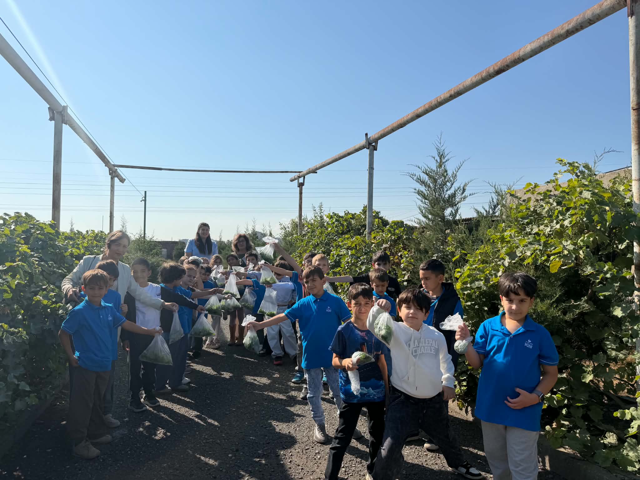Ուսումնական պարապմունք Հիդրոպոնիկայի ինստիտուտում
