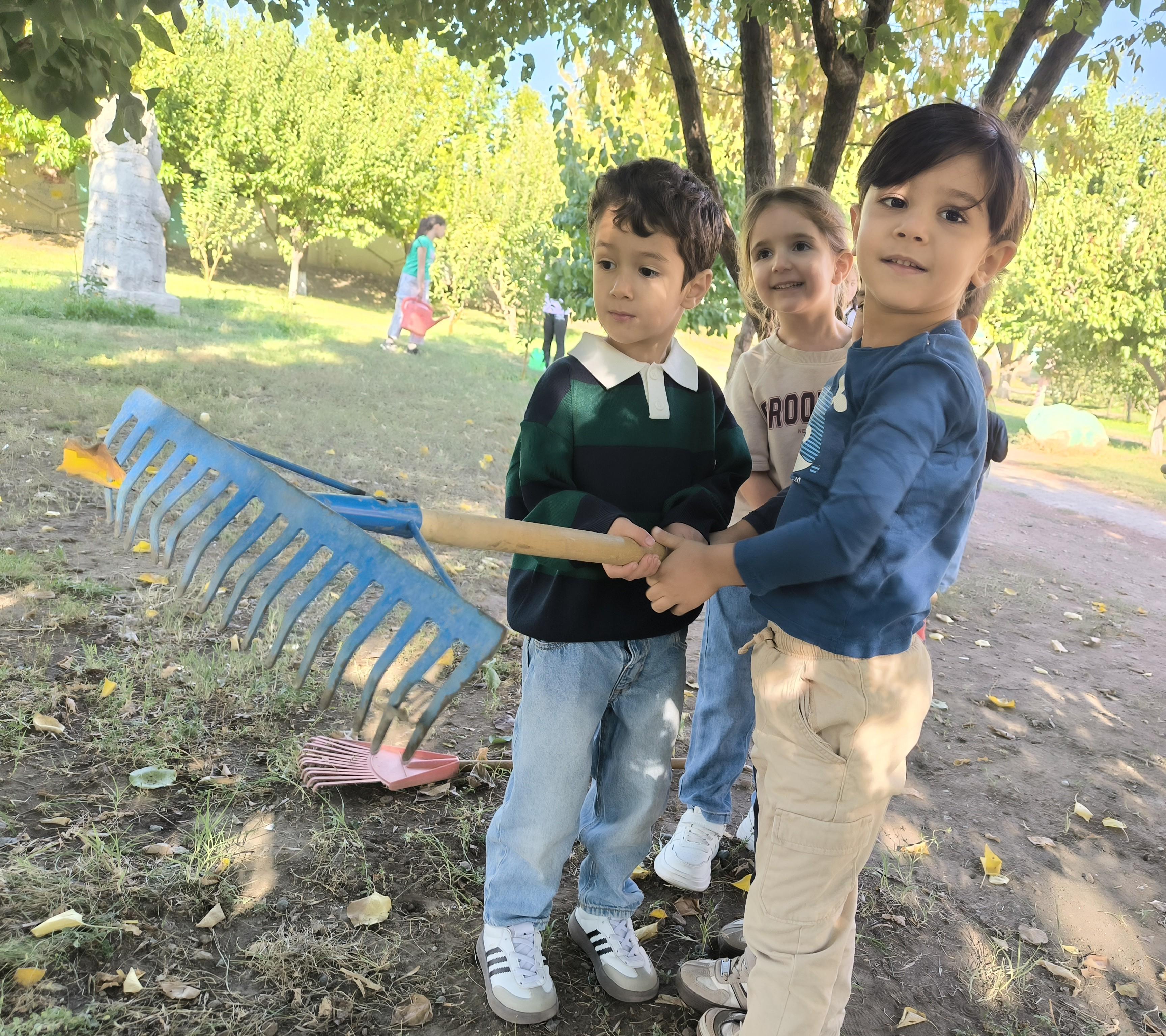 Միջավայրի խնամք