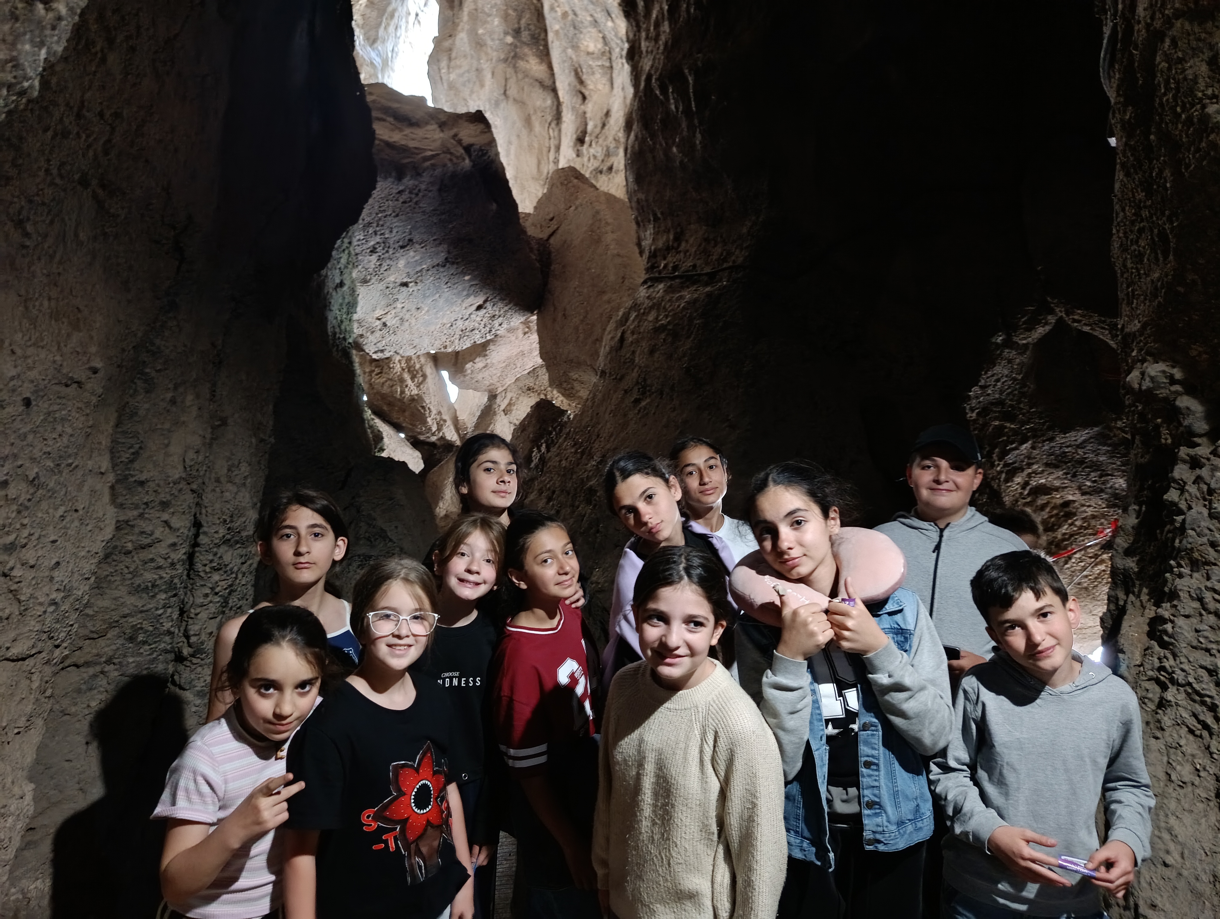 Իմ կենդանին, իմ բույսը