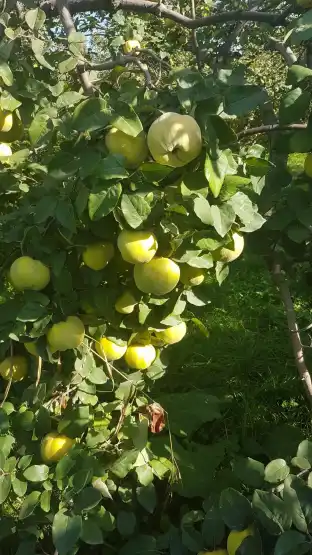 Բանավեճի հրավեր