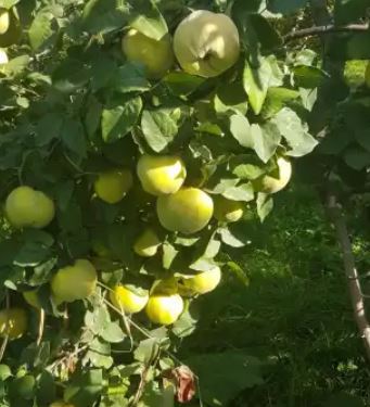 Բանավեճի հրավեր
