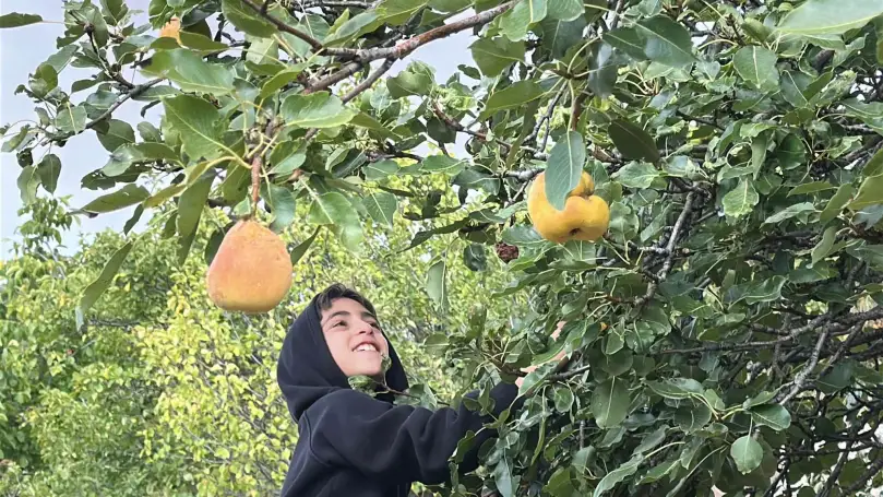 Աշնանային Արատես․ բերքահավաքից մինչև նոր բնապահպանական նախագիծ