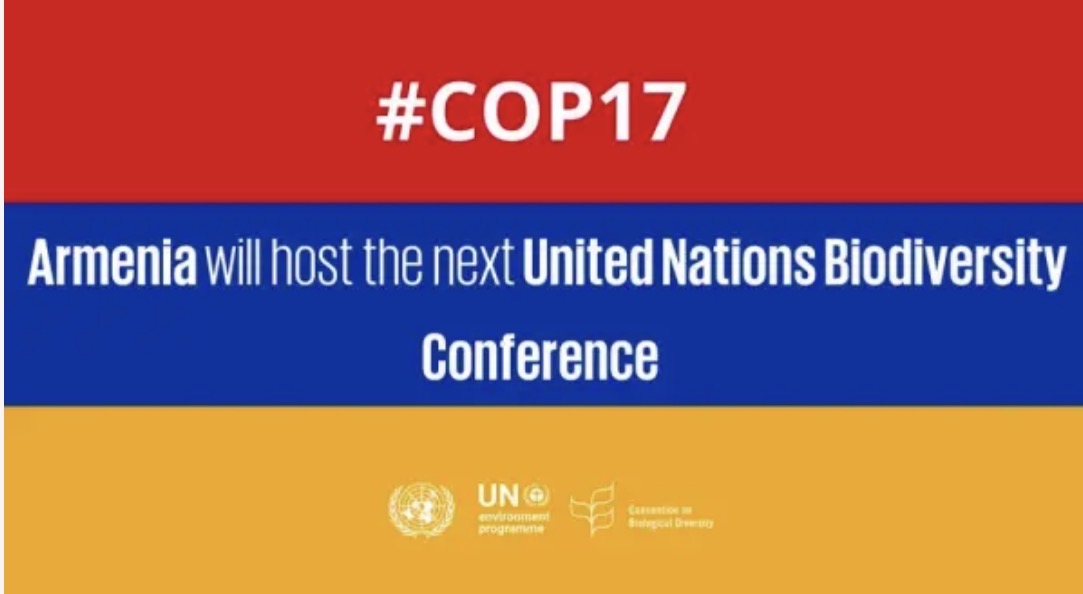 Invitation à une table ronde : « COP17 autour d'une même table »