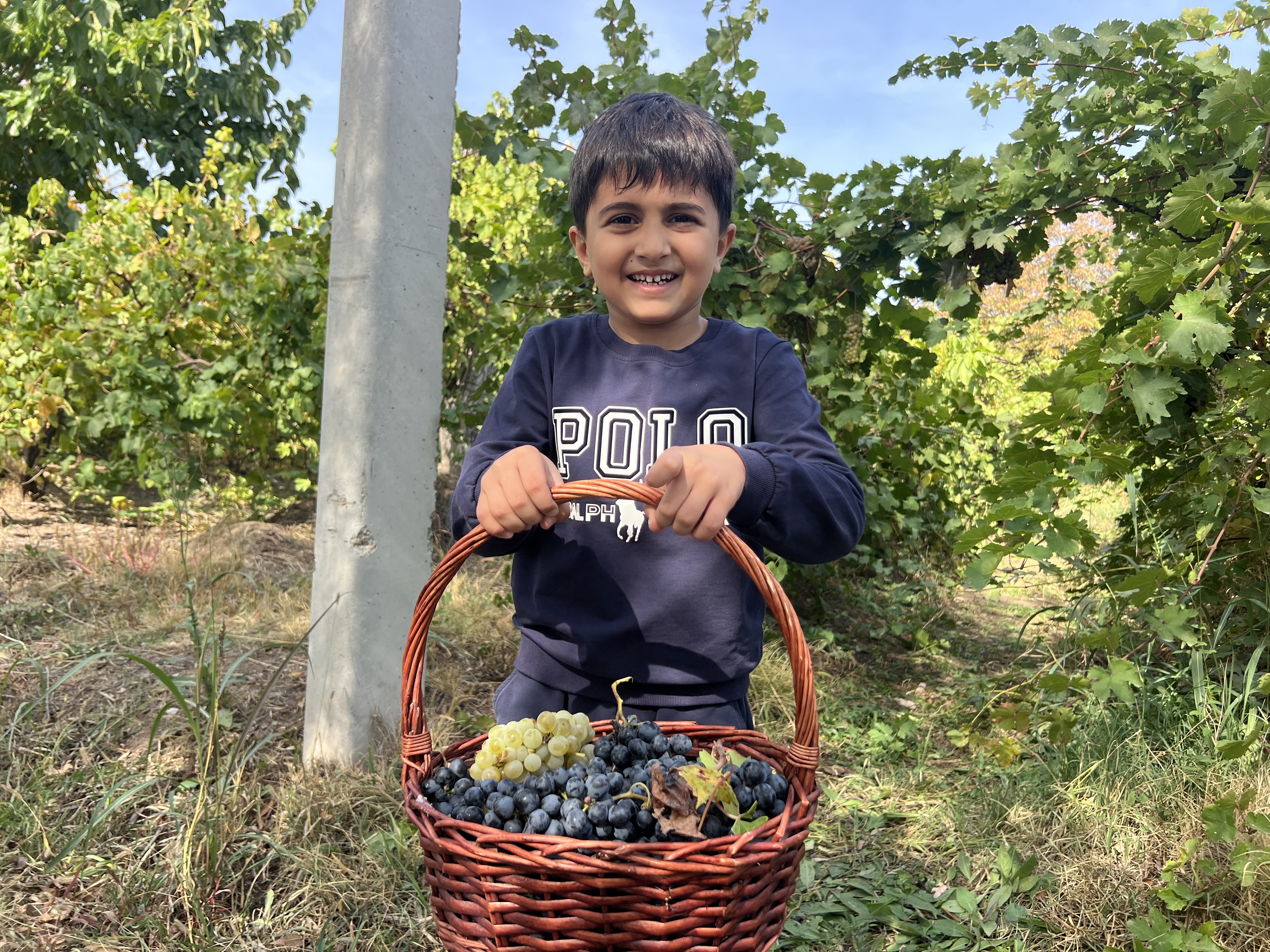  Խաղողահավաք Ոսկեվազ գյուղում