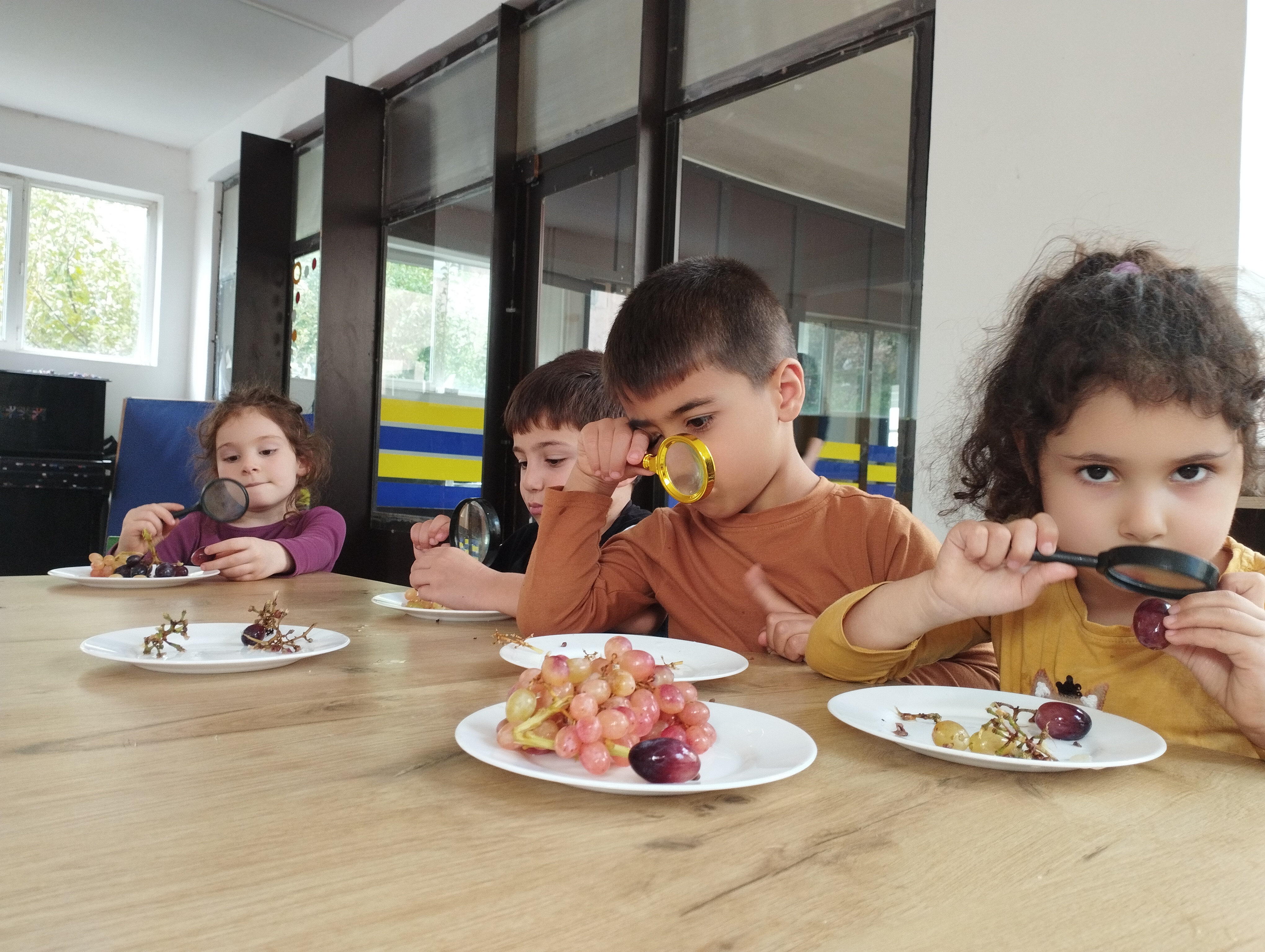 Եթե խաղողը խոսել իմանար․․․