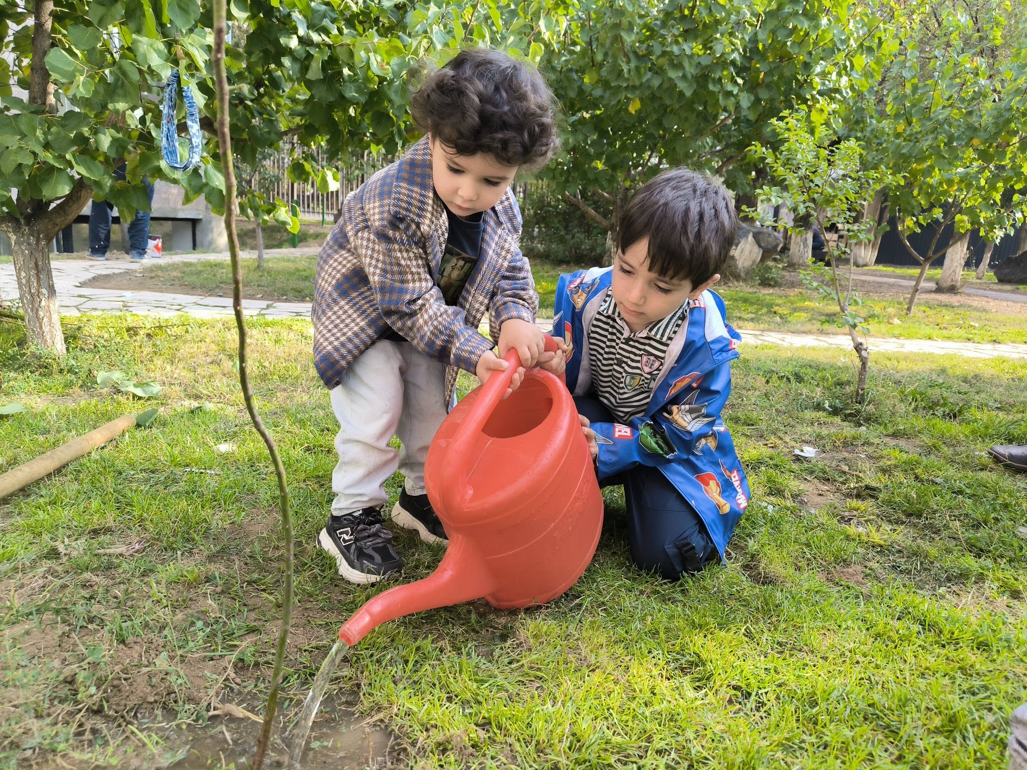 Վարդատունկ